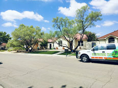 Flocy Tree Service truck on a residential street