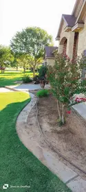 Trimmed tree in a front yard