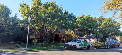 Crew hauling away tree debris
