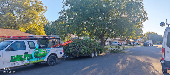 Worker in tree branches