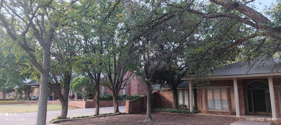 Tree trimming worksite