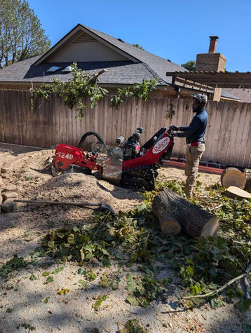 Neighborhood tree removal