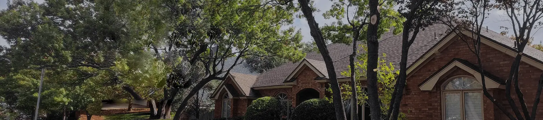 Trees over a Lubbock home