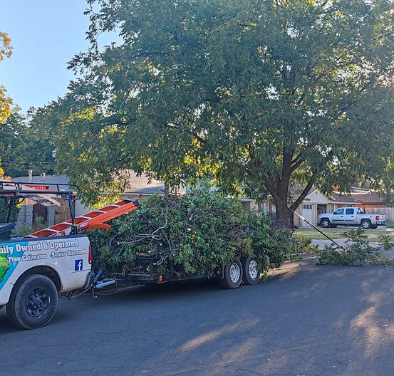 Crew performing bush removal and cleaning at a Lubbock property