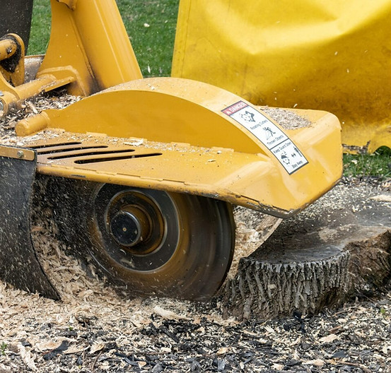 Stump grinder removing a tree stump in Lubbock, TX