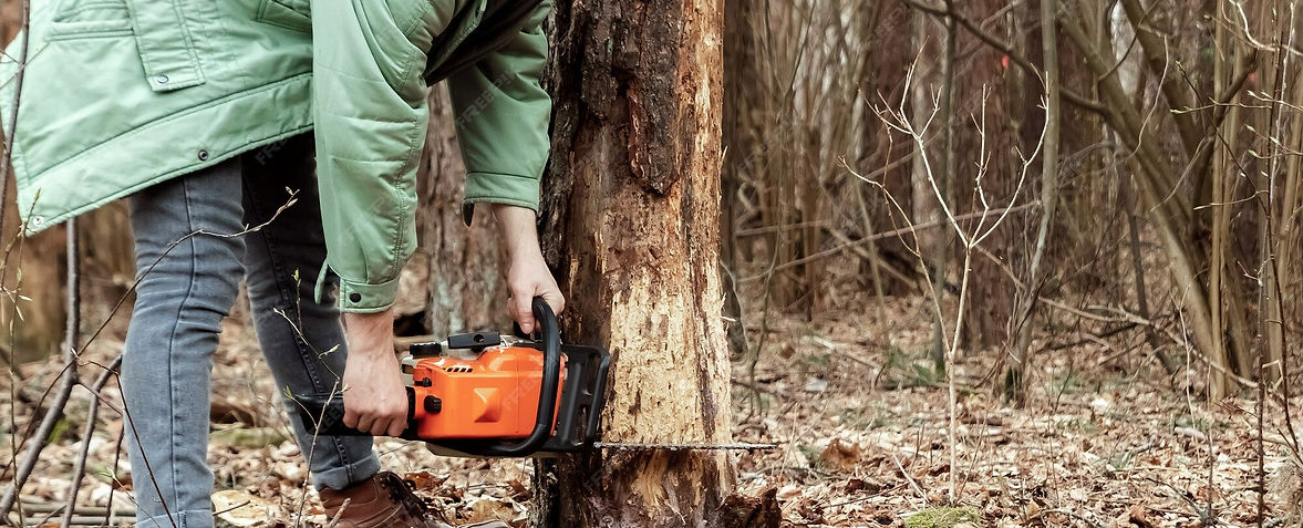 Flocy Tree Service stump grinding crew