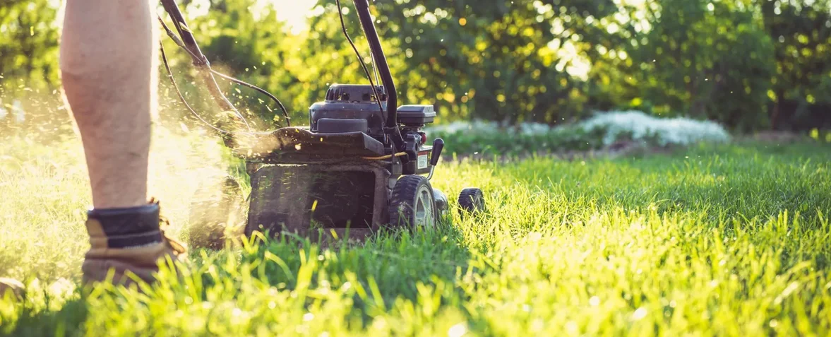 Clean lawn after leaf removal
